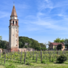 Venissa Vineyard and its ancient bell tower, Mazzorbo Island, Venice
